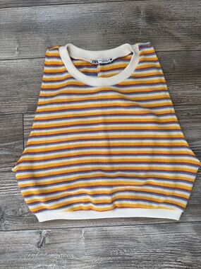 Zara Multicolor Striped Knit Cropped Tank